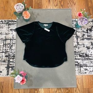 NWT!🤩NEW!✨ Madewell Emerald Green Velvet Butterfly Top, Size XXS